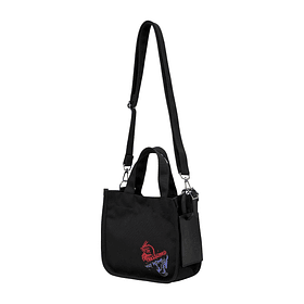 Bolso · Koraidon & Miraidon