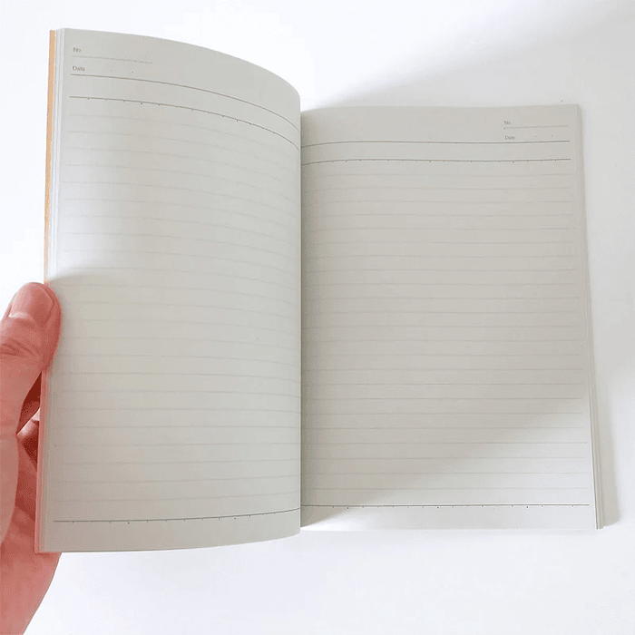 Cuaderno · One Scene Art · Paldea 3