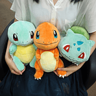 #001 Bulbasaur · Mediano 5