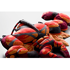 Peluche Almohada · Buzzwole 4