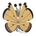 #666 Vivillon · Motivo Desierto - Vista del producto