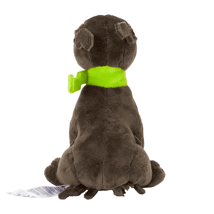 #718 Zygarde · Forma 10% 5