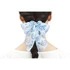 Coleta para Cabello 3