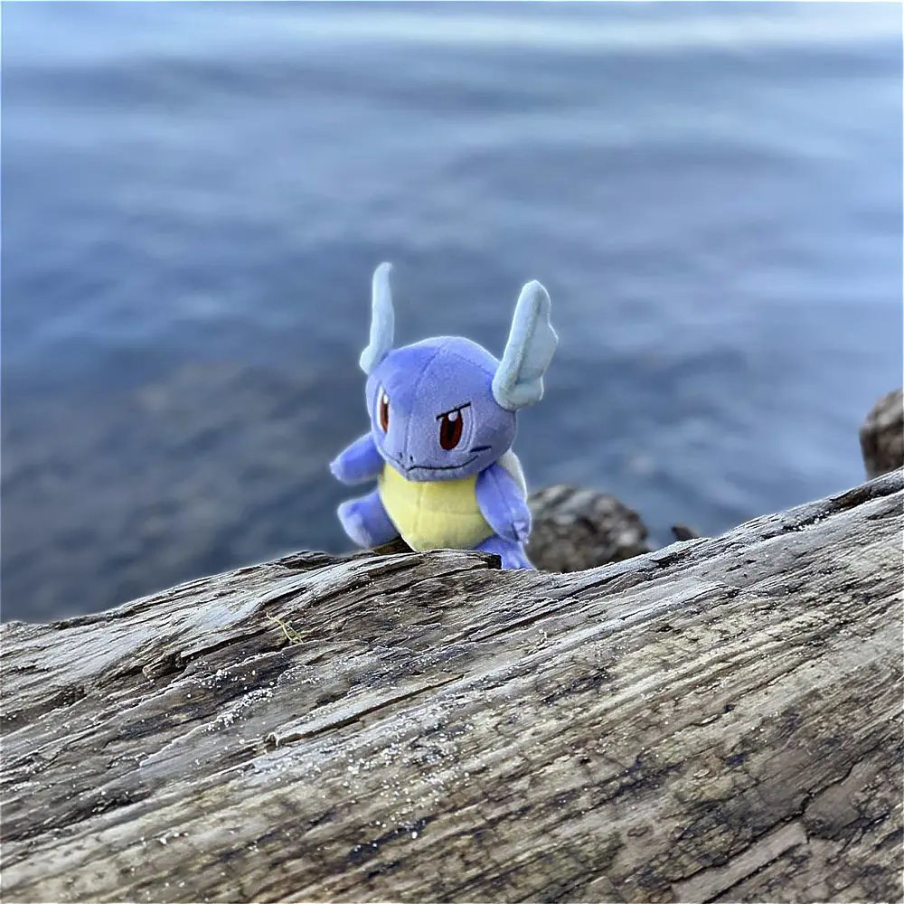 #008 Wartortle - Vista del producto