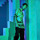 Polera · Team Grass · XL 5