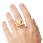Anillo Eevee · Teratipo Normal 1