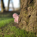 #108 Lickitung - Vista del producto