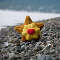 #120 Staryu - Vista del producto