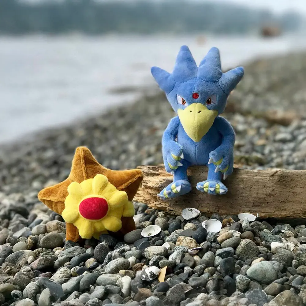 #120 Staryu - Vista del producto