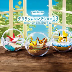 Terrarium 13 · Figura Sorpresa