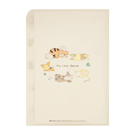 Carpeta A4 · 5 Bolsillos