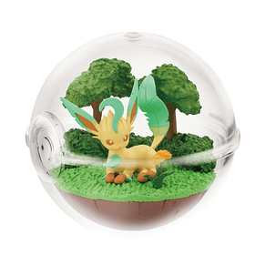 Terrarium 14 · Figura Sorpresa