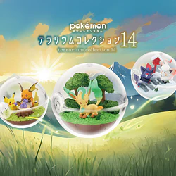 Terrarium 14 · Figura Sorpresa