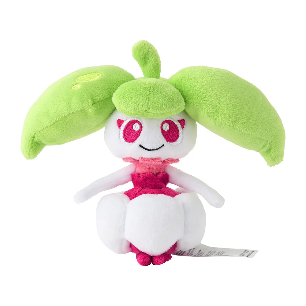 #762 Steenee - Vista del producto