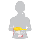 #978 Tatsugiri · Forma Recta 5