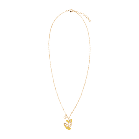 Collar · Raichu de Alola