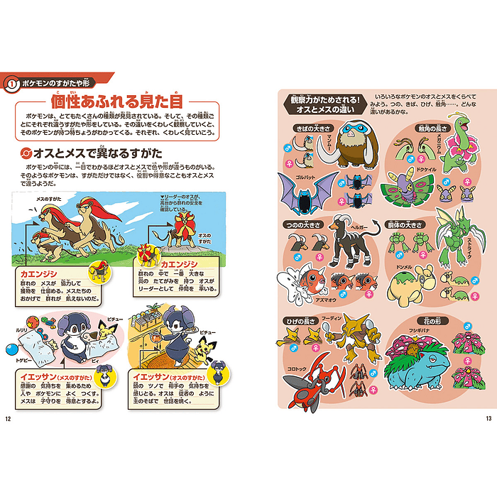 Libro · Pokémon Ecology Encyclopedia 4