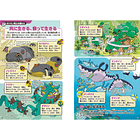 Libro · Pokémon Ecology Encyclopedia 6