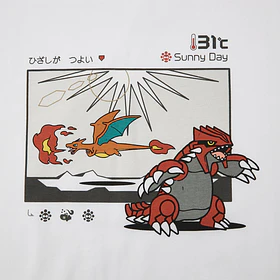 Polera Groudon & Charizard · Talla L