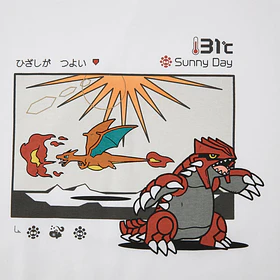 Polera Groudon & Charizard · Talla L