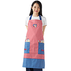 Delantal · Pikachu 8