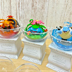 Terrarium 15 · Figura Charizard - Vista del producto