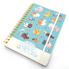 Libreta B6 2