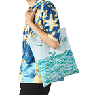 Bolso Tote · Dragonite & Friends 1