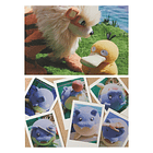 Set 6 Postales · Molino de Viento 2