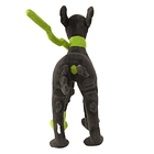 Peluche · Zygarde · Forma 10% 4