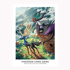Protector Cartas · Kalos Adventure