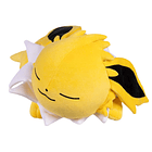 Peluche Gigante · Jolteon Durmiendo 3