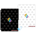 Hojas Archivador · Mega Evolution 4