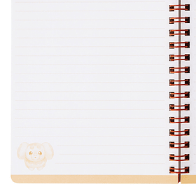 Libreta B6 · Fidough y Combee