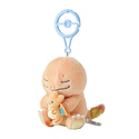 Peluche Mascota · Charmander & Charizrad - Vista del producto