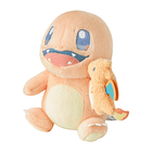 Peluche · Charmander & Charizard 2