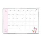 Agenda B6 · Poké Friends 2026 2