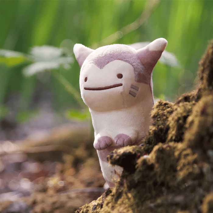 Peluche · Furret 1