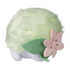 Peluche · Shaymin 4