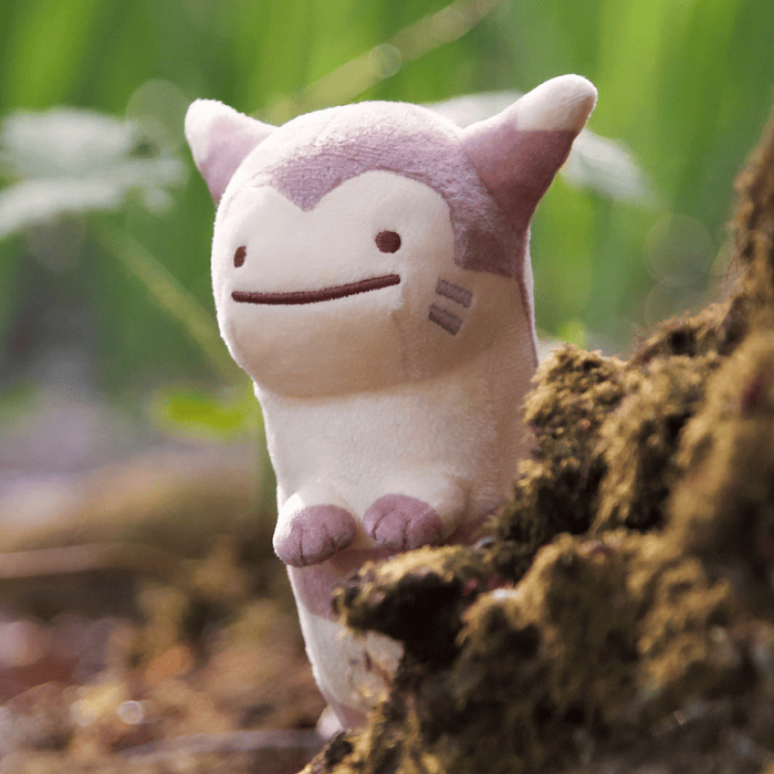 Peluche · Furret
