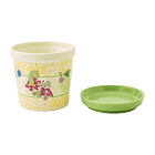 Macetero Pequeño · Blooming Friends 6