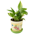 Macetero Pequeño · Blooming Friends 3