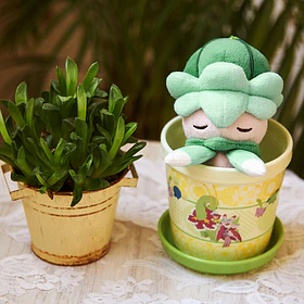 Macetero Pequeño · Blooming Friends