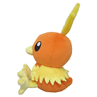 #255 Torchic 3