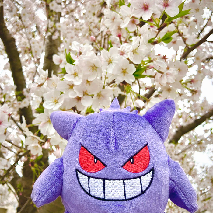 #094 Gengar 2