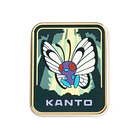 Pin · Región Kanto 1