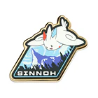 Pin · Región Sinnoh 1