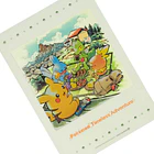 Carpeta A4 · Timeless Adventure Hoenn 4