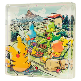 Bloque Acrílico · Hoenn