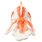 Peluche Aleteo · Goldeen 5